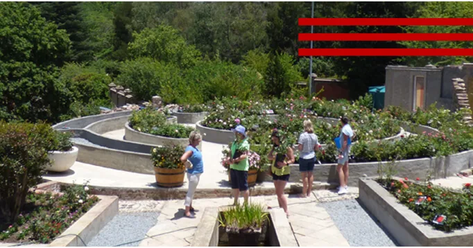 Rose garden and seasonal colour